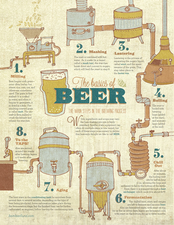 Fall 2013 · Basics of Beer