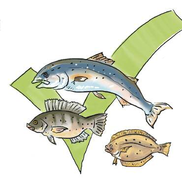 cover-30-ways-11-sustainable-seafood