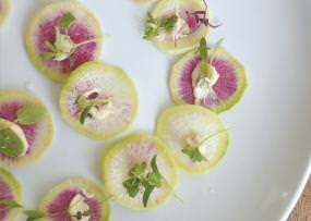 summer soirrees radish