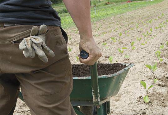 edible-notables-growing-farmers