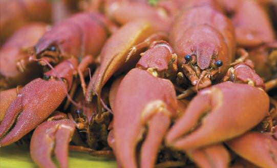 recipes-crayfish
