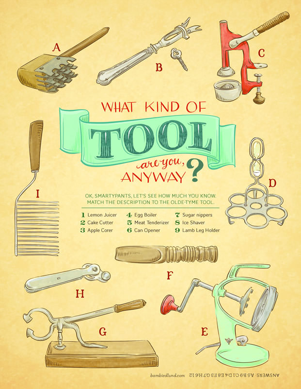 Cooks 2016 · What Kind Of Tool Are You Anyway?