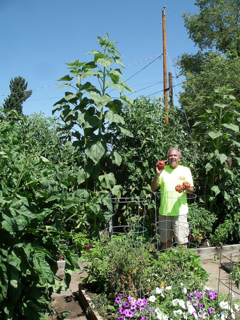 Big Garden Big Results BOOST KICK PUNCH