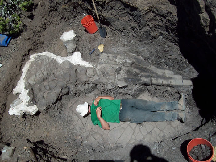 Icky Martin Sander Man lying next to fossil in Central Nevada fav (crop out shadow of photog in foreground if you can)