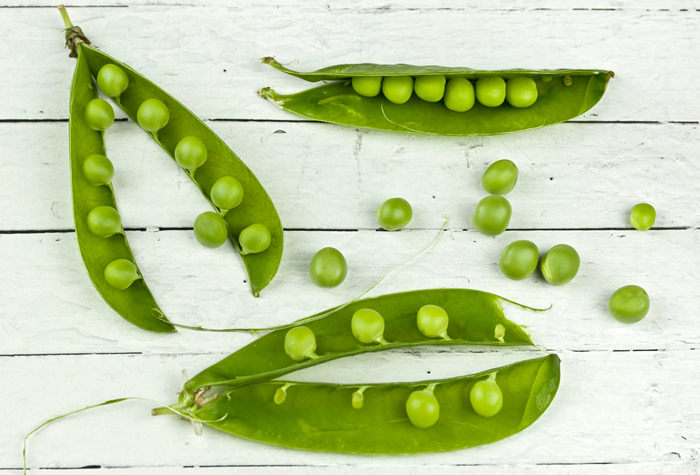 seared sccallops with peas