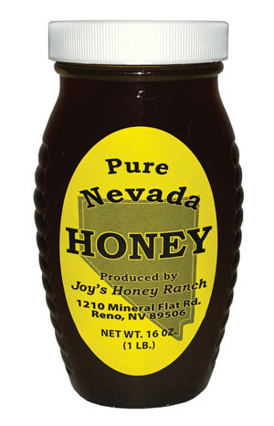 web Joys Honey3