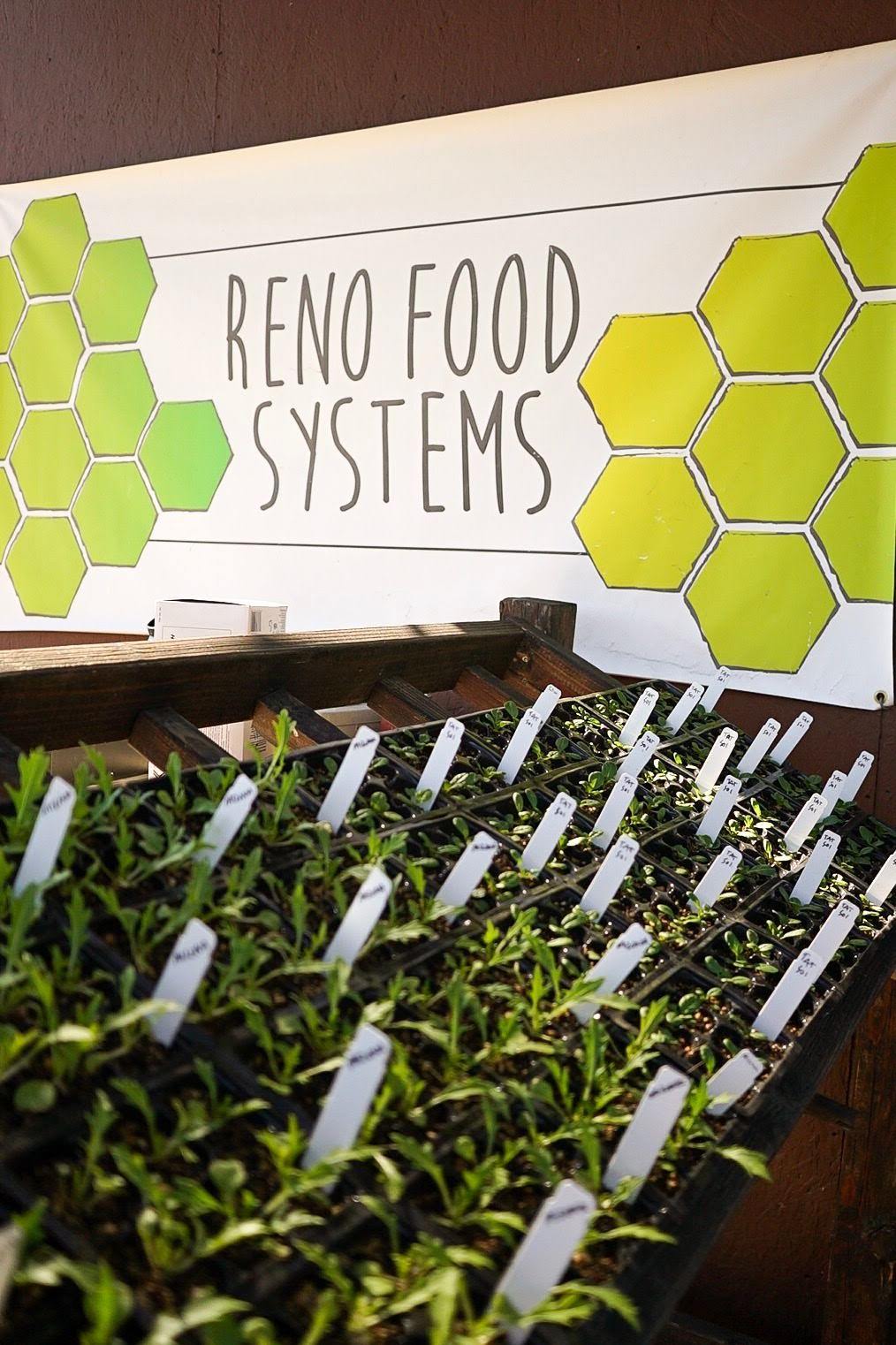 Reno Food Systems has been holding seedlings sales, announced through its social media platforms, at its Park Farm. Photo courtesy of Reno Food Systems