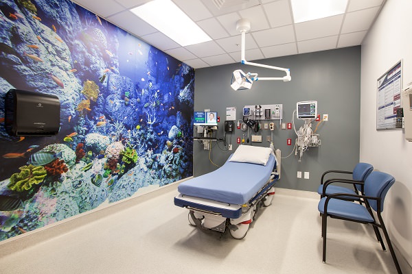 Interior of children's room with lively underwater fish photo mural on entire wall
