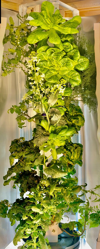 close up of a column with food growing on it