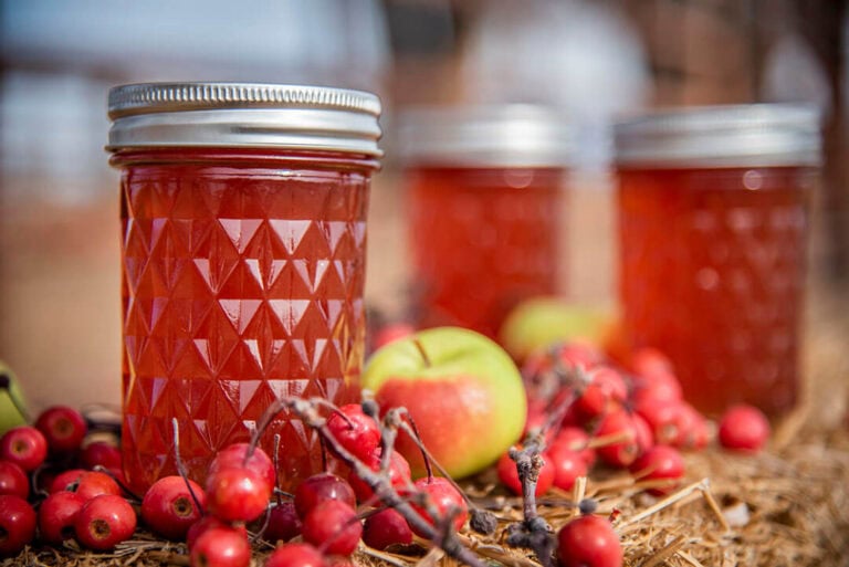 Crab Apple Concoctions