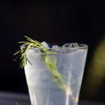 Dry January Gin & Tonic. Photo by Ty O'Neil