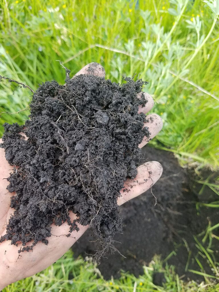 Rich soil at Spencer Smithโs ranch in Surprise Valley. Photo courtesy of Smith