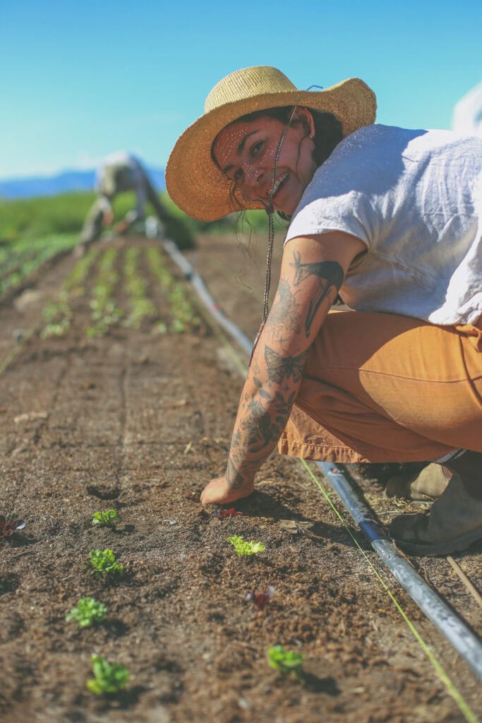 Farm intern Kayla de Lancey plants baby lettuce at Prema Farm. Photo by Kasey Crispin