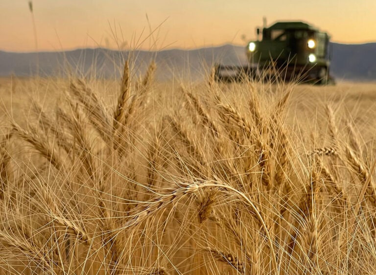 2021 fall harvest at Sunset Ranch