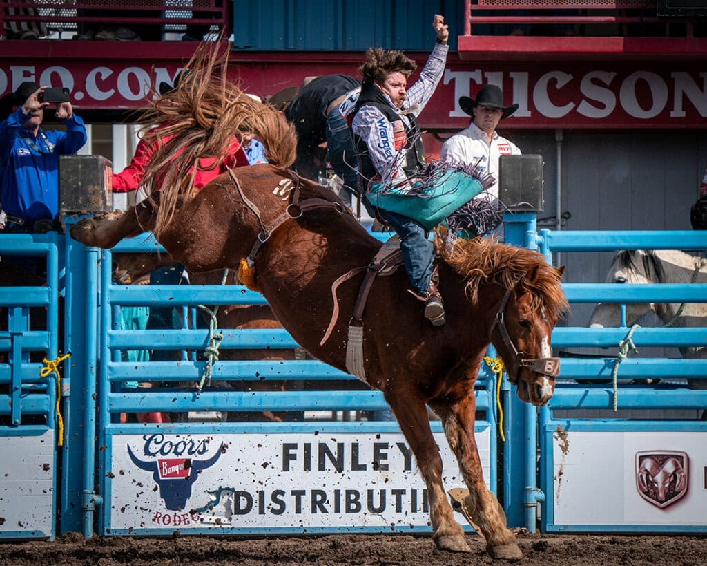 Photo by Sam-Sin Photography