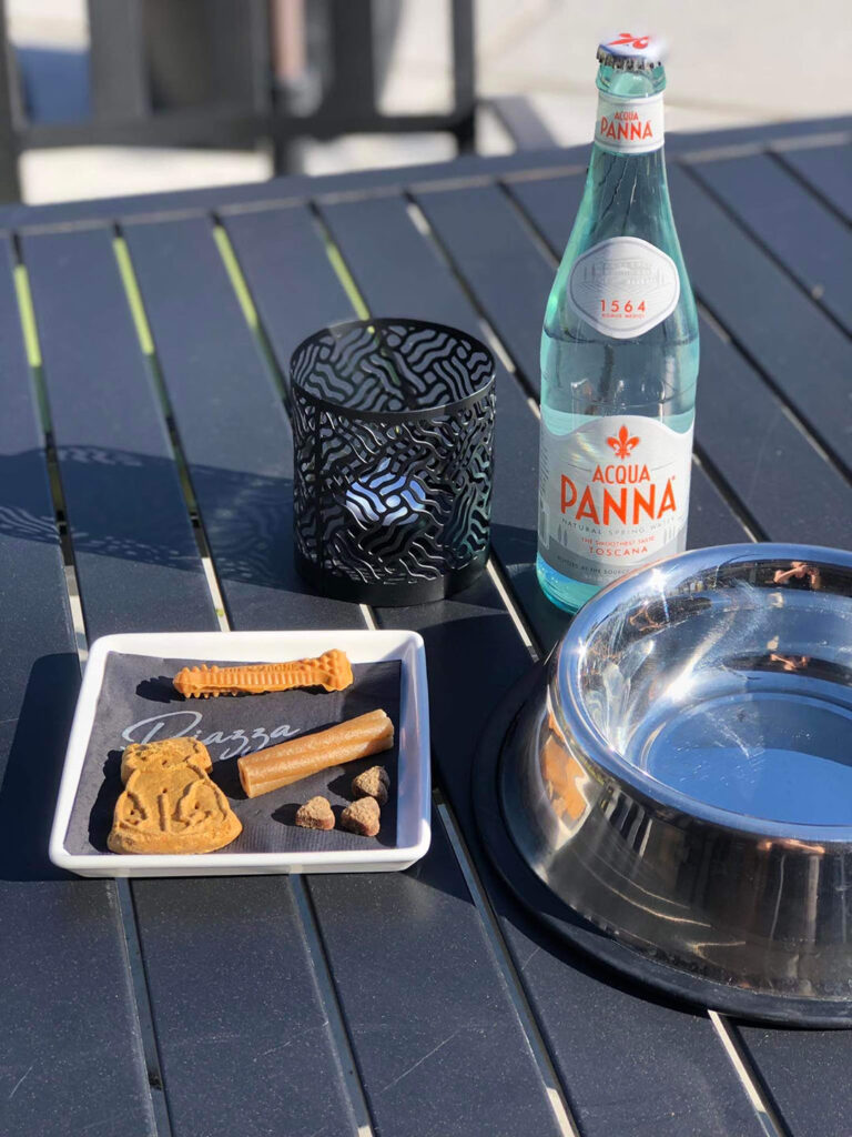 Complimentary treats are available for dogs who visit the patio at Carson City's Piazza. Photo courtesy of Piazza