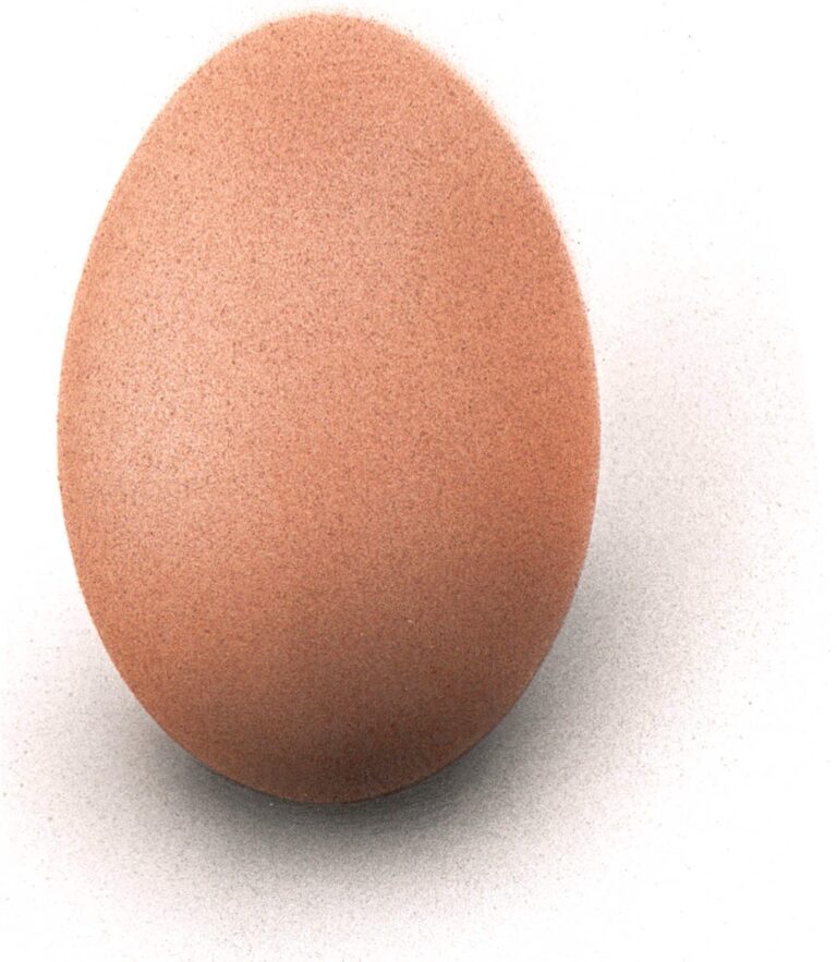 Brown chicken egg