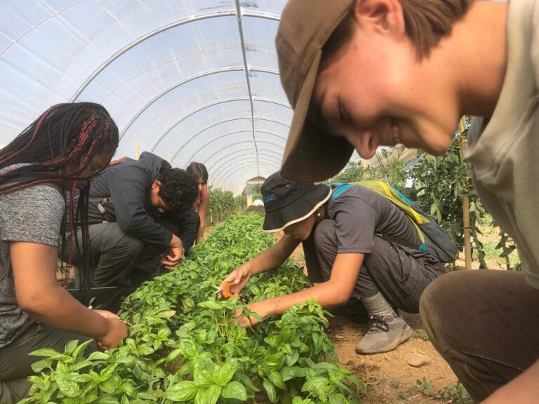 Harvesting Community