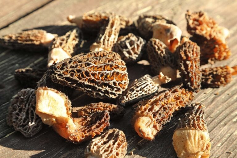 Forager’s Funky Flatbread