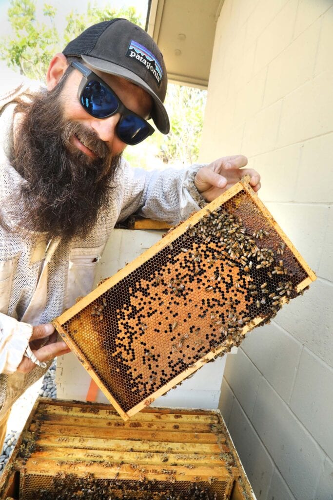 Dan Simas of Patagonia holds a frame containing a brood of honeybees. Photo by Lou Manna 
