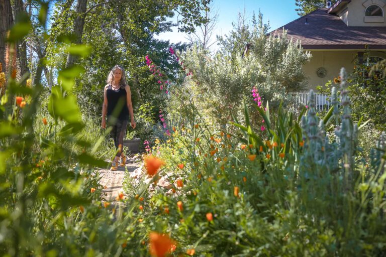 Lorrain Fitzhugh walks a path through her home garden in Gardnerville, where California poppies and desert beardtongues grow