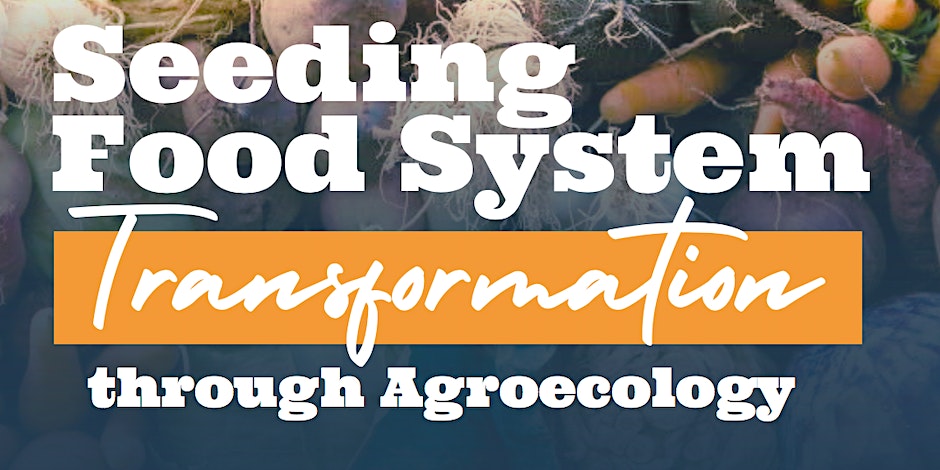 Seeding Food System Transformation through Agroecology