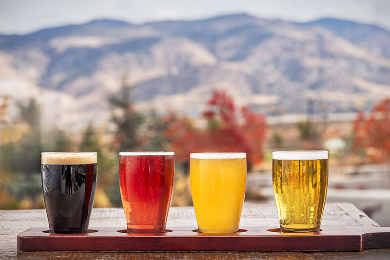 From left, Crux Stout, Avid Cider Co.’s Blueberry POM cider, Great Basin Brewing Co.’s Firelit Haze, and IMBĪB's Golden Child.