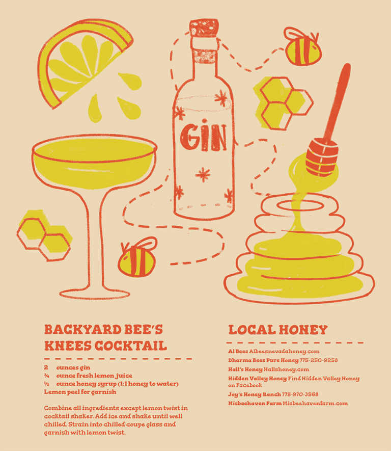 The Last Sip: Backyard Bee's Knees Cocktail. Illustration by Cassie Byington