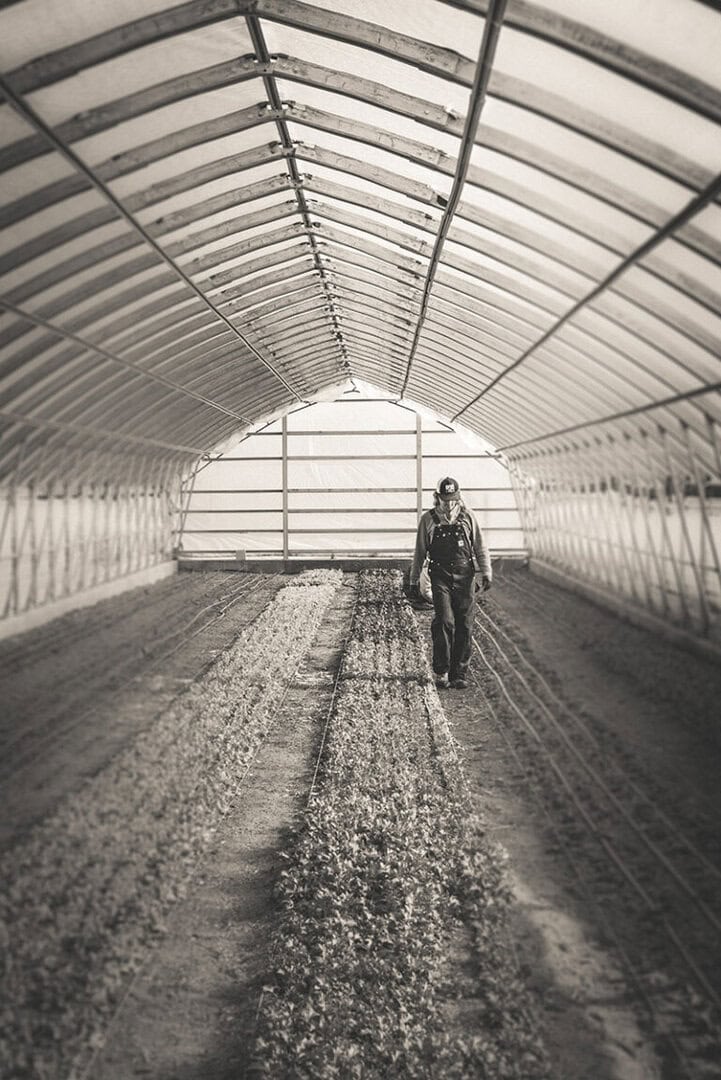 Cultivating Tomorrow’s Farmers