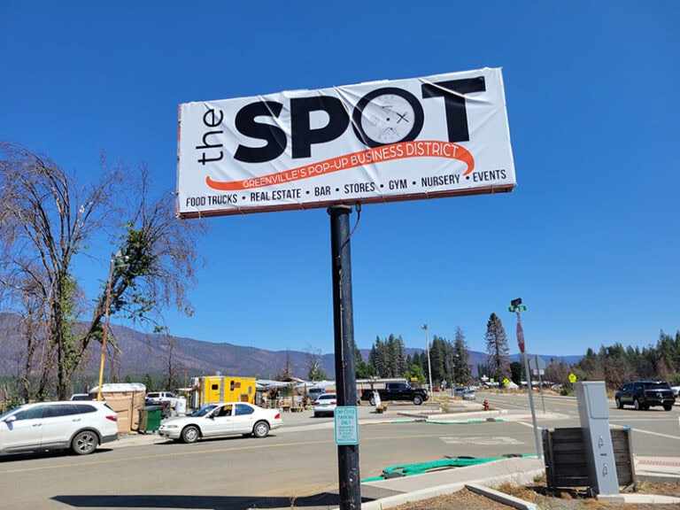 Rising From the Ashes