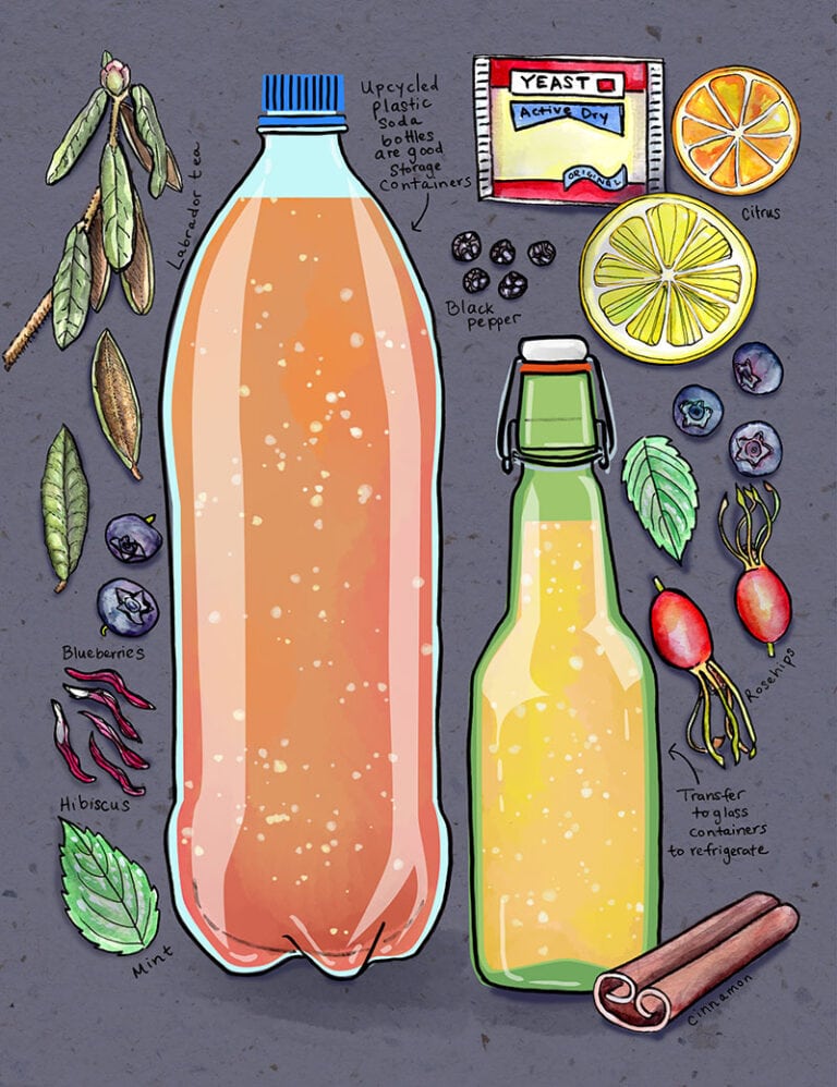 Yeast Soda. Illustration by Kristin Link