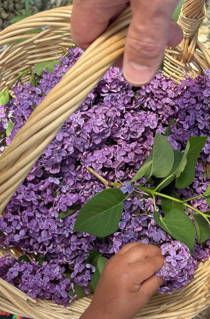 Photo courtesy of The Radish Hotel