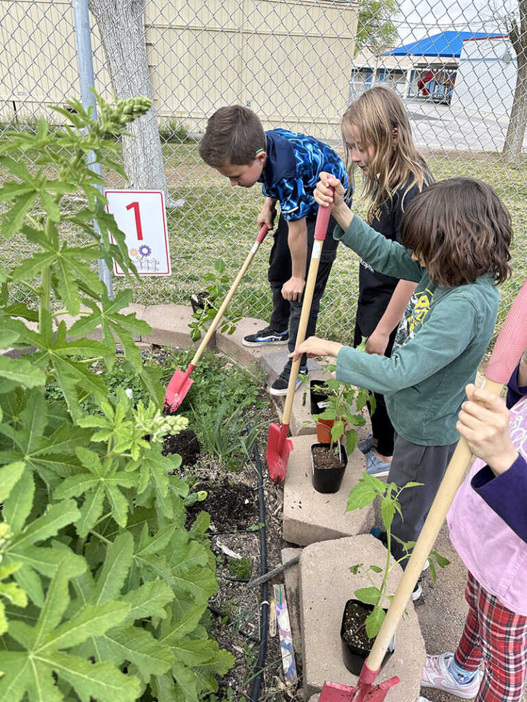 Students at Nate Mack Elementary School in Henderson prepare their school garden to grow food for the Spring 2024 Giant Student Farmers’ Market. Photo courtesy of Green Our Planet