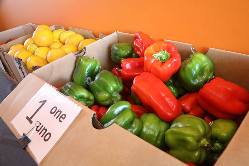 Fresh fruits and vegetables at SCH’s food pantry