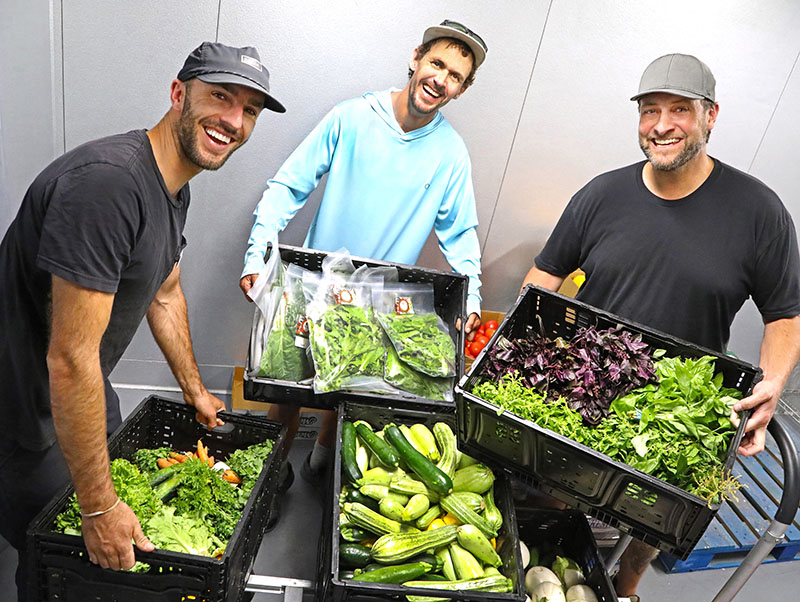 Patrick Kratzer, director of Hunger Relief; Joey Eberhardt, garden manager of Slow Food Lake Tahoe, with lettuce and chard that he donated; and Ryan Vanderbur, program coordinator, in the walk-in refrigerator at Sierra Community House’s Truckee warehouse