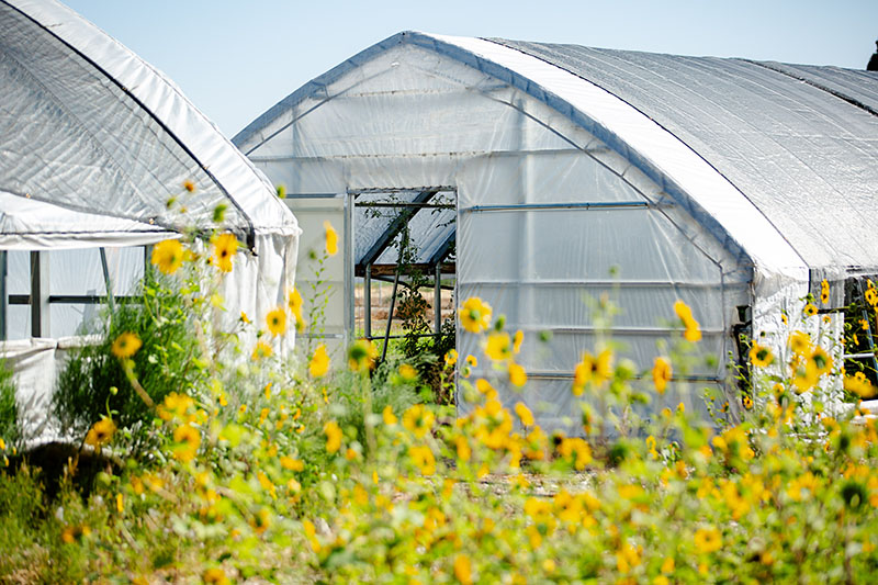 Greenhouses at the Desert Farming Initiative, which houses the Grow Organic Nevada program