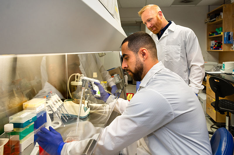 Ph.D. candidate Matt Bolino and Steven Frese, assistant professor in UNR’s nutrition department, study microorganisms from Nevadans to learn how diet and other factors shape individual health. Photo by Scott Thompson