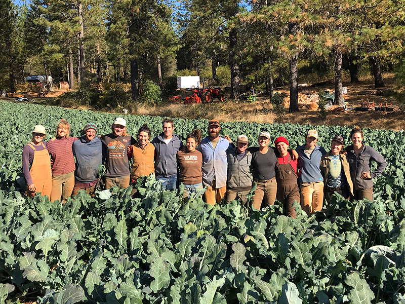 A group of local community members came together in 2019 to help run the farm. Here, the team harvests broccoli