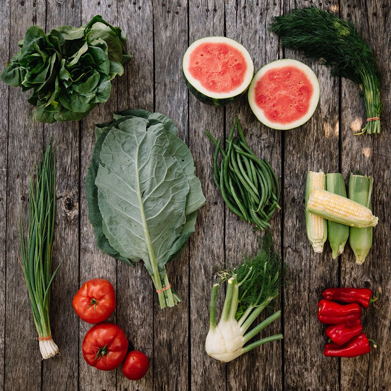 Contents of a Mountain Bounty Farm CSA box