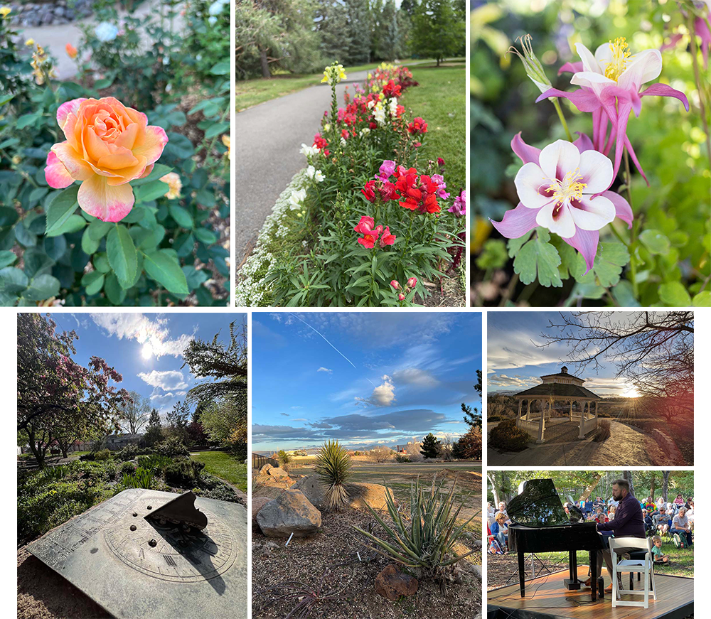 The arboretum offers a remarkable assortment of delights, from various blooming flowers to a sundial, a cactus and succulent garden, a shade gazebo, and live events in the garden. Photos courtesy of the May Arboretum Society