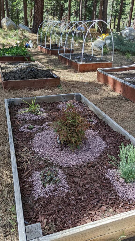 A xeriscape demonstration bed. Photo courtesy of UC Davis Tahoe Environmental Research Center