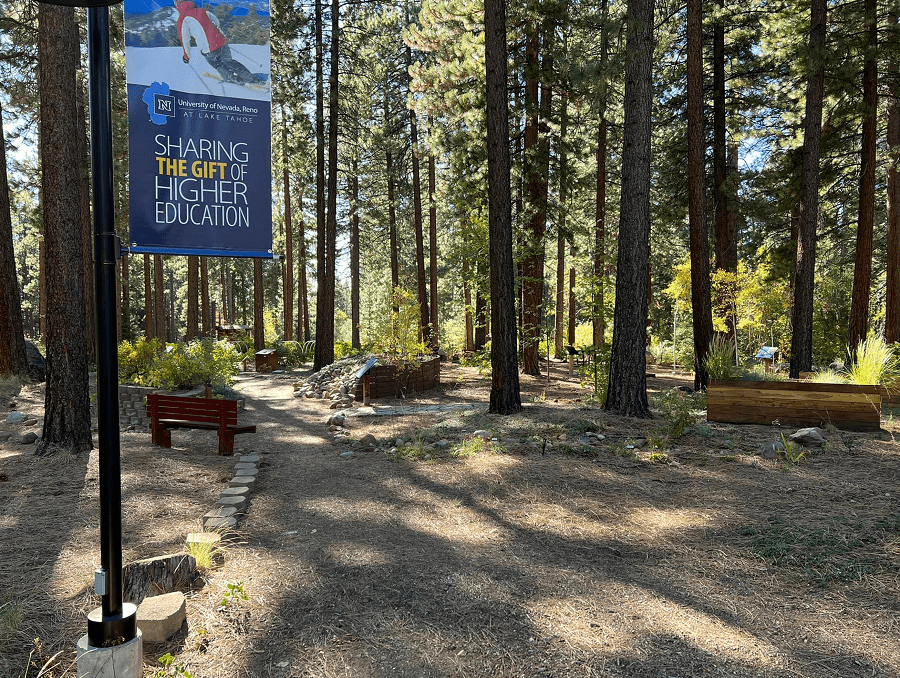 The path to the North Lake Tahoe Demonstration Garden. Photo courtesy of University of Nevada, Reno College of Agriculture, Biotechnology & Natural Resources