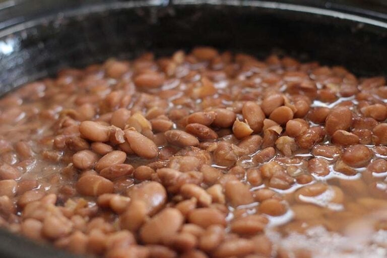 Pinto Beans for Pork Basque Beans