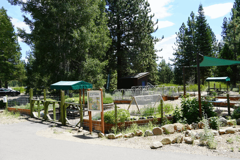 Growing Community at 6,500 Feet