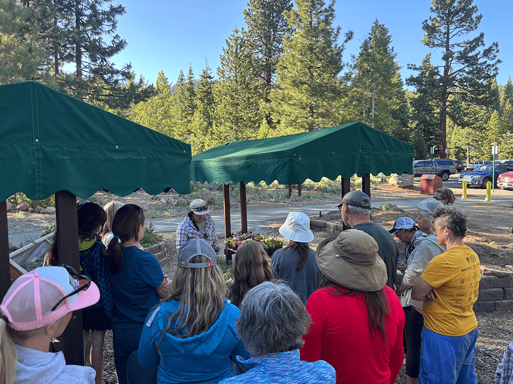 Participants gather for a seasonal workshop in the garden