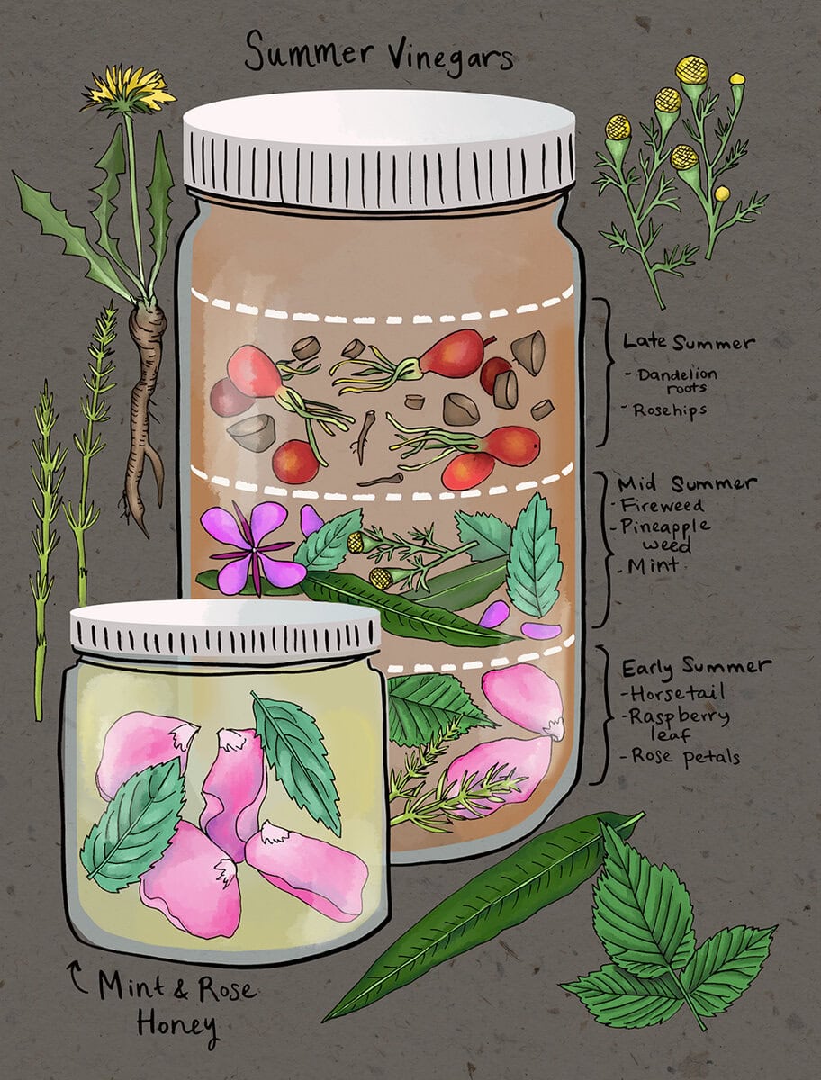 Illustration by Kristin Link