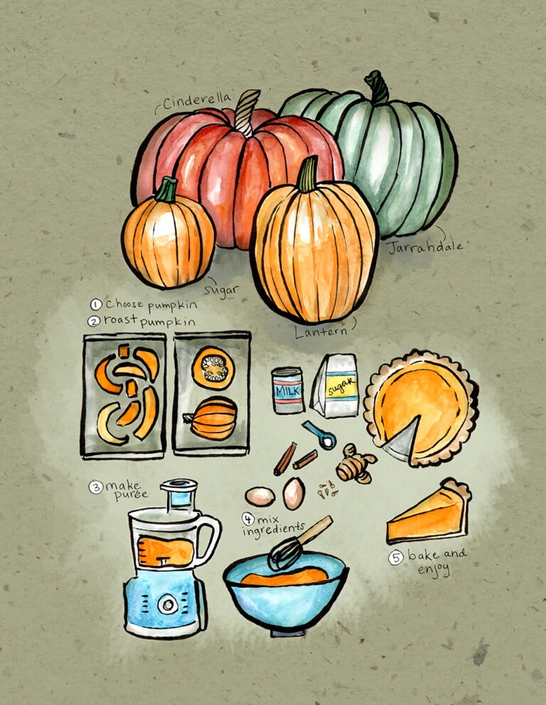 Illustration by Kristin Link