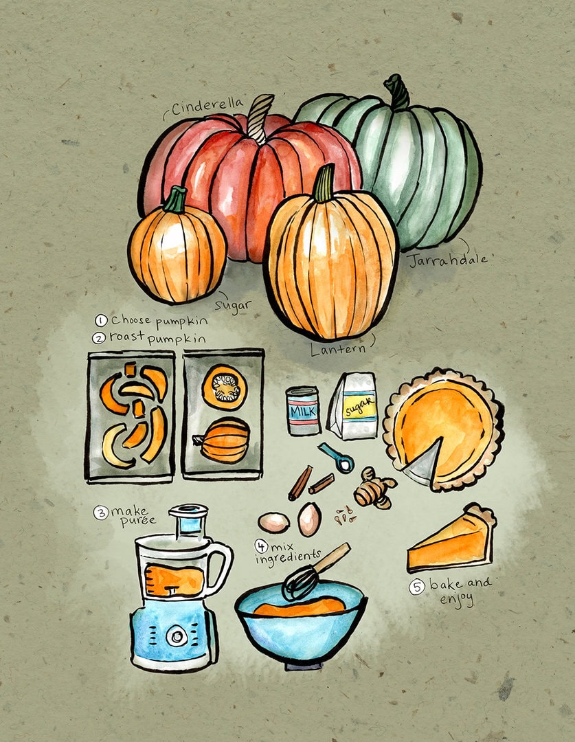 Illustration by Kristin Link