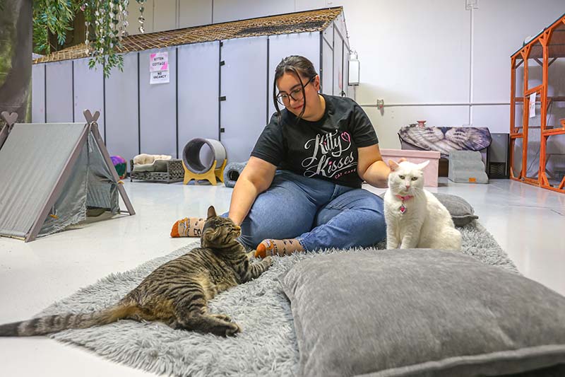 A volunteer visits with cats currently up for adoption