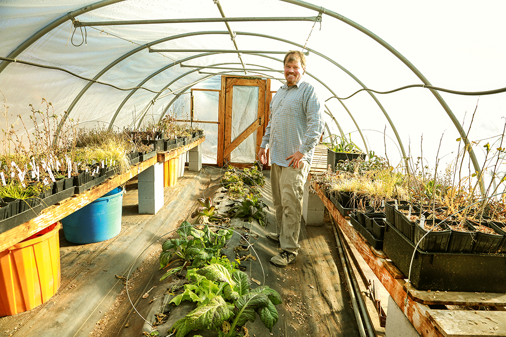 Neil Bertrando enjoys his unheated hoophouse for growing some of his nursery and food crops. Photo by Lou Manna